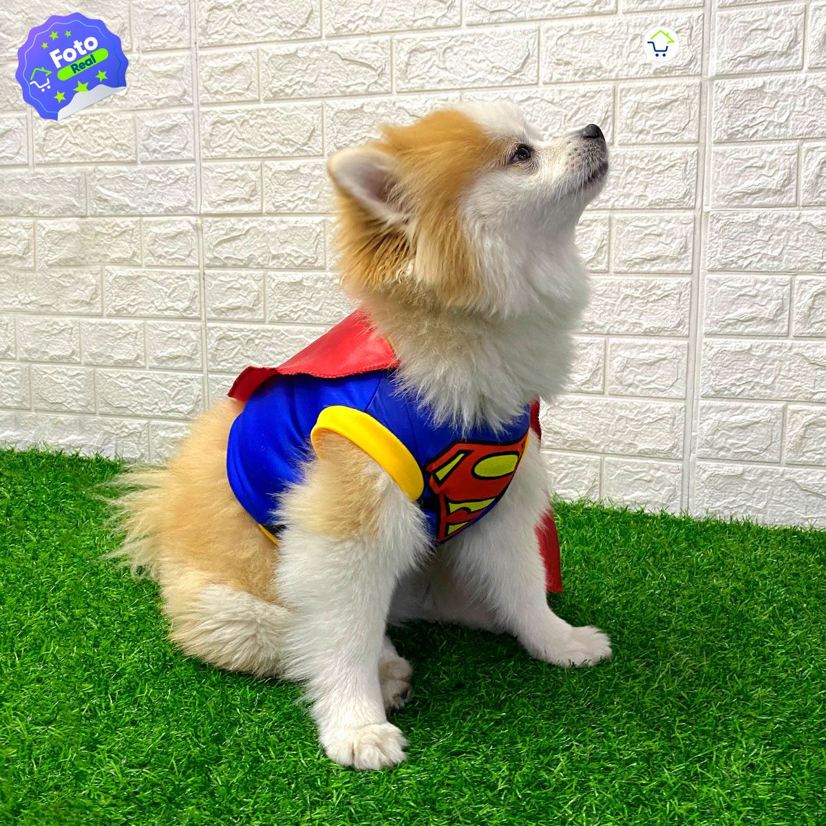 Disfraz tipo Superman para tu Mascota-Conviértelo en el héroe que siempre ha sido para ti 🐾