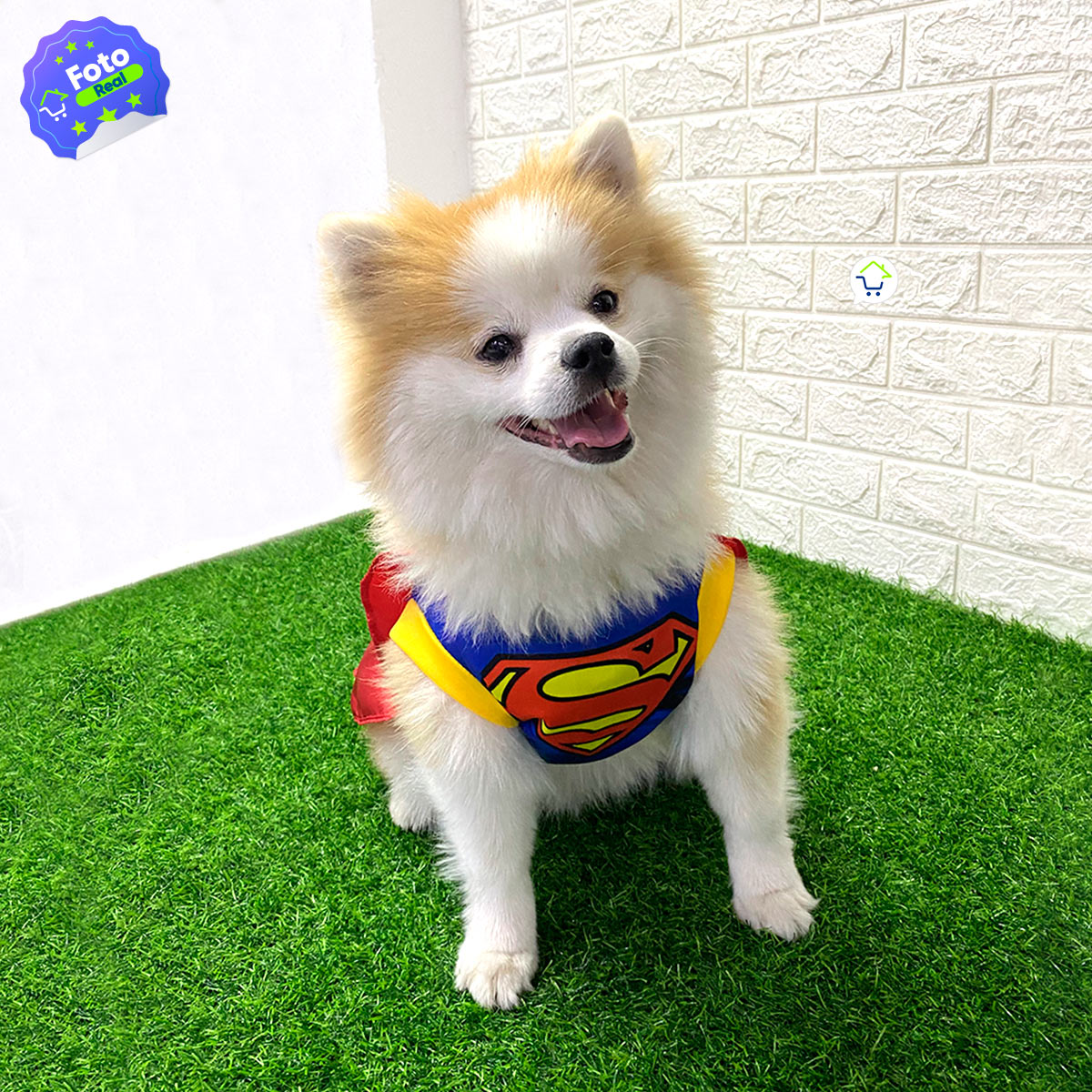 Disfraz tipo Superman para tu Mascota-Conviértelo en el héroe que siempre ha sido para ti 🐾