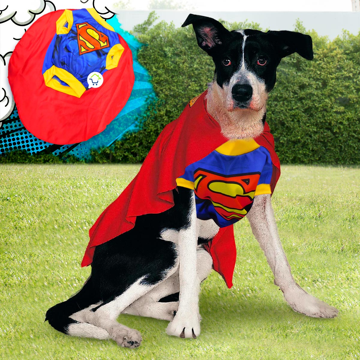 Disfraz tipo Superman para tu Mascota-Conviértelo en el héroe que siempre ha sido para ti 🐾